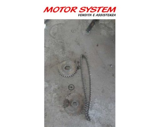 Ingranaggi e catena pompa olio CF Moto/ WT Motors