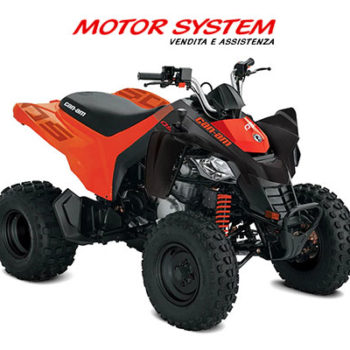 Can Am Youth DS 250 - 2023